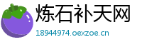 炼石补天网